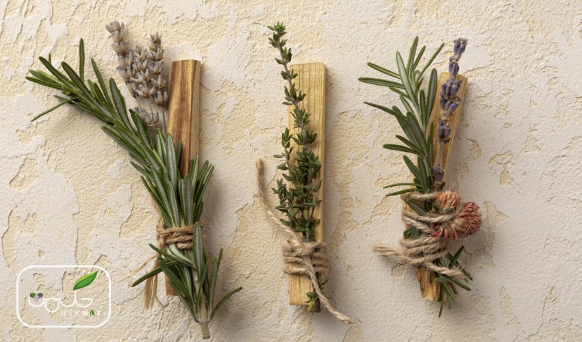 تفاوت رزماری با ترخون چیست؟ رزماری همان ترخون است؟