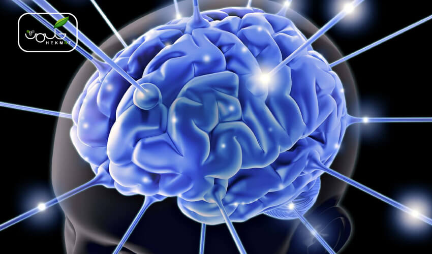 مهم‌ترین راهکارهای درمان سردی مغز
